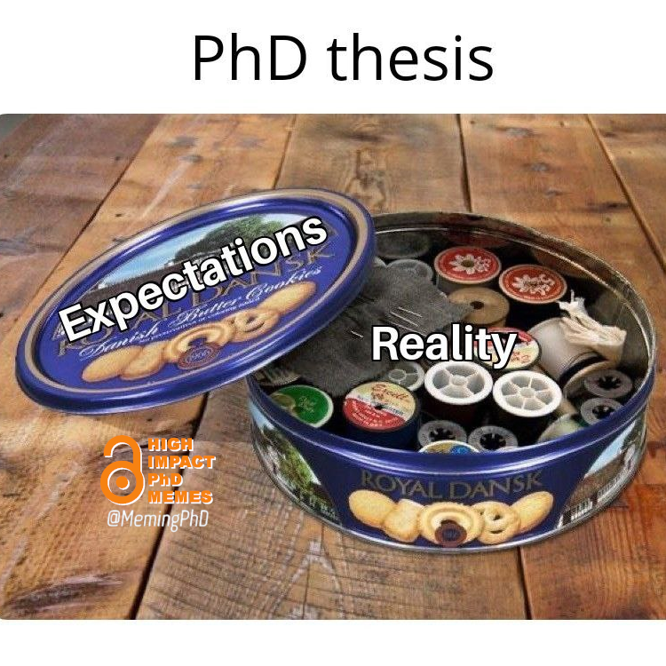 MemingPhD's tweet photo. #PhD #phdlife #phdmemes #phdchat #phdforum #AcademicTwitter #AcademicChatter #academia #research #phdvoice #phdcandidate #postdoc #highimpactphdmemes #PeerReview https://t.co/X69RNF3jj3