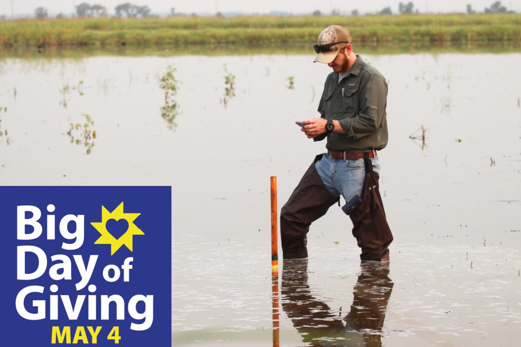 CalWaterbirds tweet media