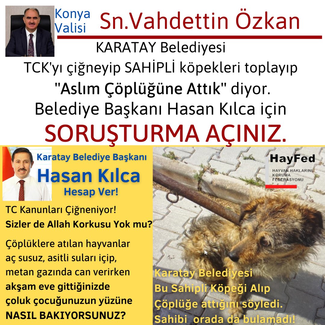 Nihal_K34's tweet photo. Konya Valisi Sn. Vahdettin Özkan,
Karatay Belediyesi TCK'yı çiğneyip SAHİPLİ köpekleri toplayıp ''Aslım Çöplüğüne Attık'' diyor!
Belediye bşk HASAN KILCA için soruşturma açınız+
@TCKonyaValiligi @HasanAngiHA @ozboyaciselman  @TC_icisleri @suleymansoylu @RTErdogan @leylasahinusta https://t.co/Pz0QwdgUqL