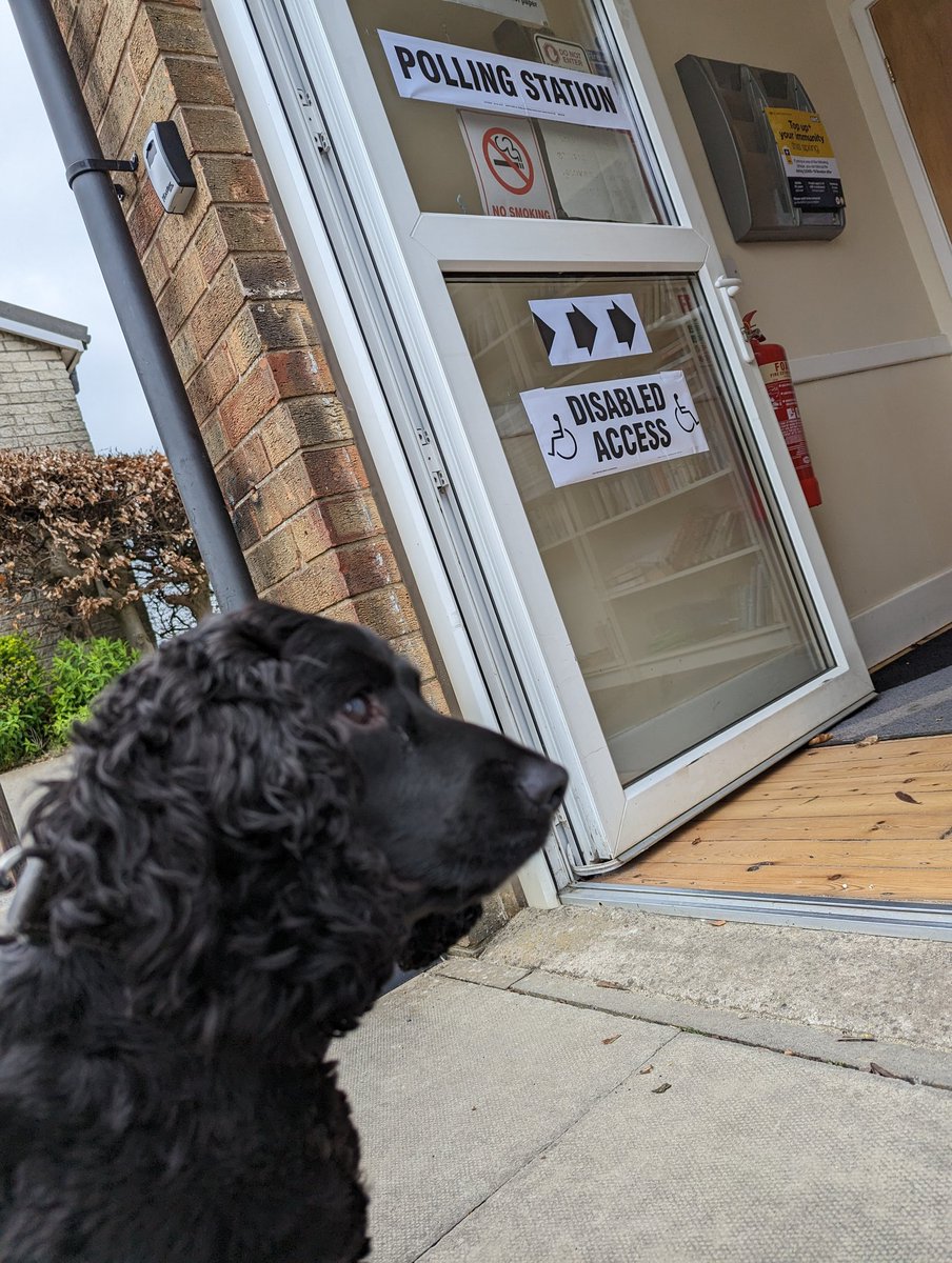 #dogsatpollingstations