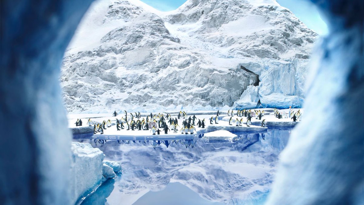 Miniatur Wunderland Hamburg eröffnet Patagonien: Wenn der ganz kleine Gletscher kalbt dlvr.it/SnXVLV