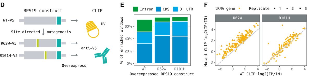 Evan Boyle tweet media