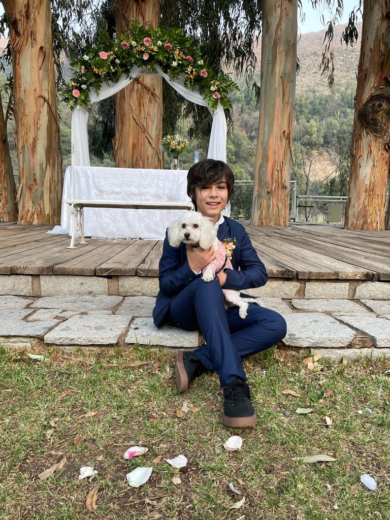 SanCasona's tweet photo. ¡Hola a todos! ¿Están pensando en incluir a sus mascotas en su boda? ¡Eso es genial! Las mascotas son miembros importantes de la familia y no hay razón para dejarlas fuera de un día tan especial. 

Visitanos y ENAMORATE de Casona San Jose!

#doglovers #mascotas #novias #novios https://t.co/PGpP05uVG2