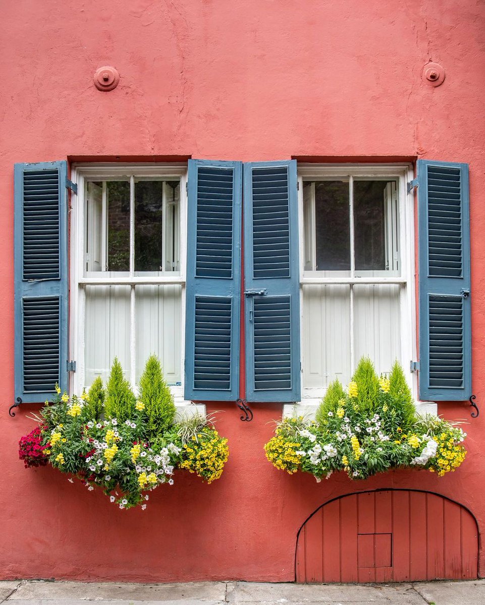 DavidsonHospGrp's tweet image. The window boxes in @ExploreCHS are a feast for the eyes - vibrant and extraordinary! 💐

📷: charlestonspired

#charleston #windowboxes #charlestonwindowboxes