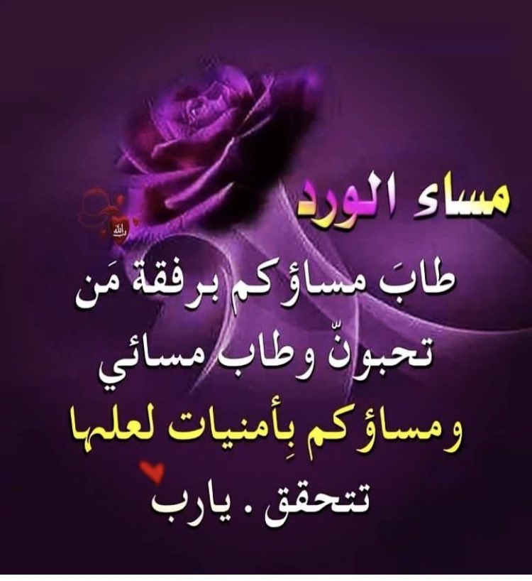 ام محمد tweet media