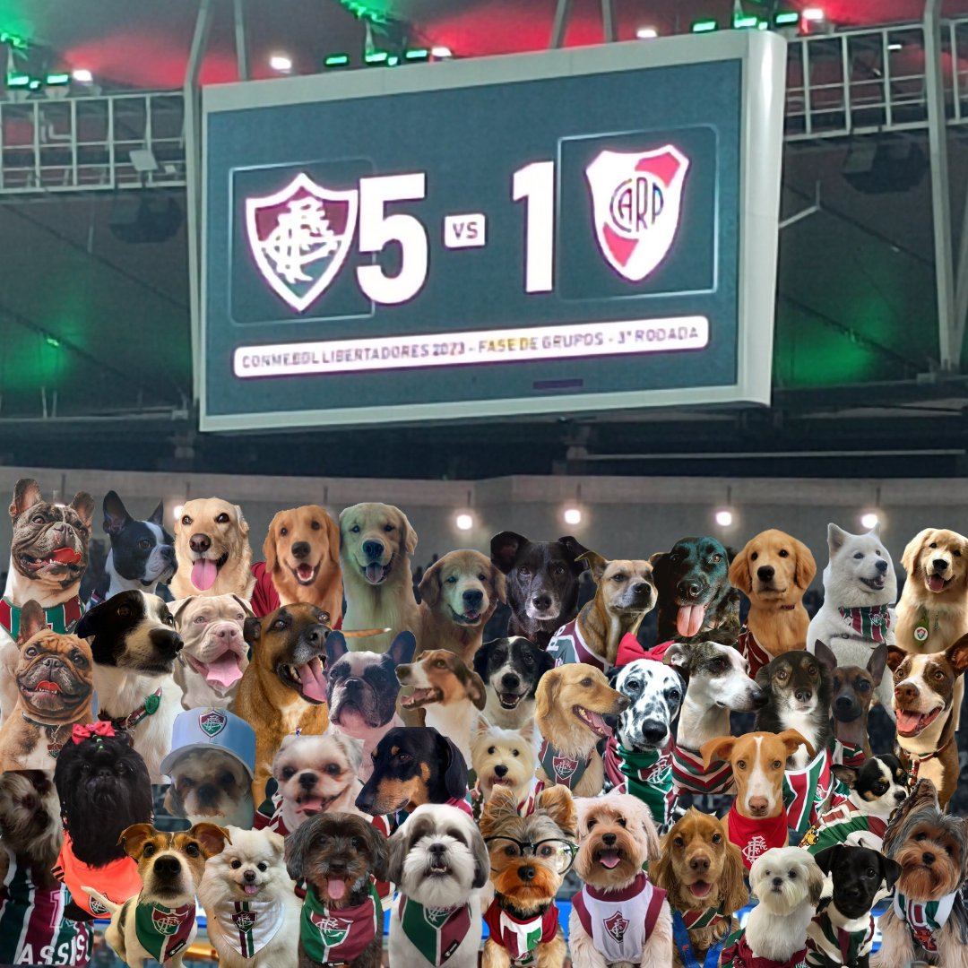 _dogflu_'s tweet photo. DOGFLU PRESENTE! 🇭🇺
A torcida mais sensacionAU de todos os tempos! 
E quem achou que a DOGFLU não iria ao Maraca, só pode ser louco da cabeça! 
#dogflu #5x1 #sensacionauuuu🐶 https://t.co/jrfKZAQlDV
