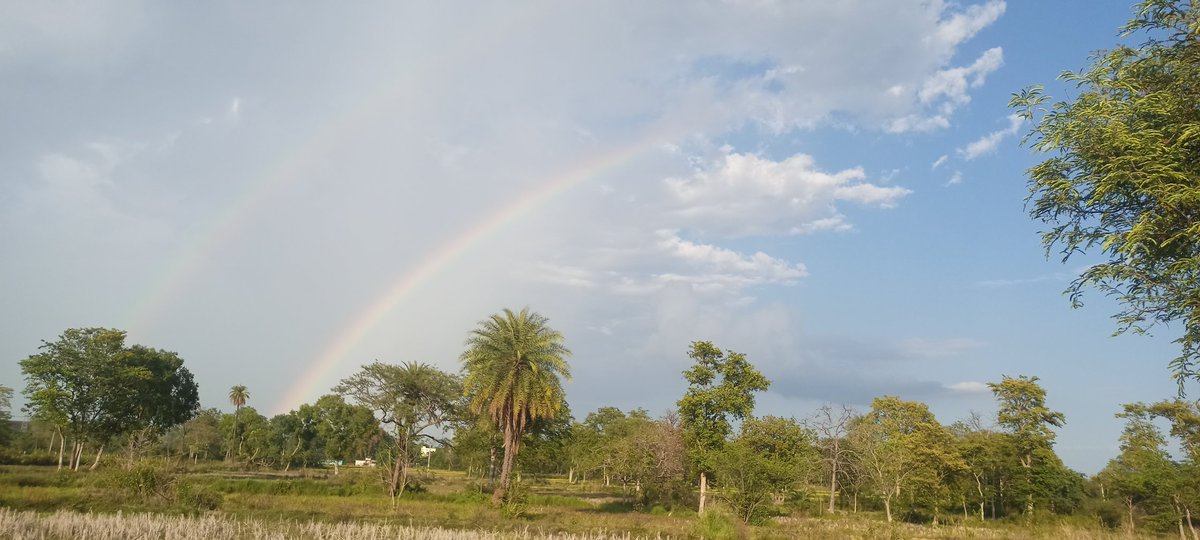 PNanda333's tweet photo. After long time saw the beautiful two #Rainbow at a time...♥️♥️ https://t.co/E1QMIPrs8Z