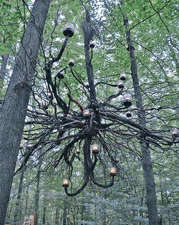 This garden piece was made with the roots of a dead tree. Lanterns were attached and it was suspended in the middle of living trees. Beautiful ,eerie and gothic 🖤

Credit Susan Martin/ Proven Winners website.
#GothicGarden #31DaysofHaunting