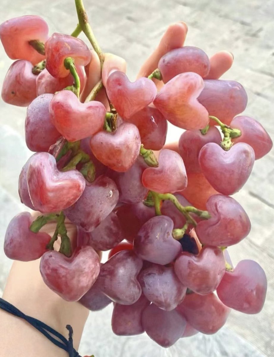 piinkimi_'s tweet photo. heart shaped grapes https://t.co/Midcyw75z0