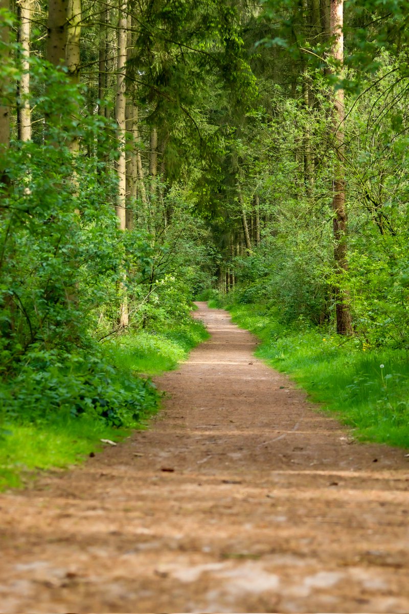 Green is life #photography #nature #NaturePhotography #Fotografie