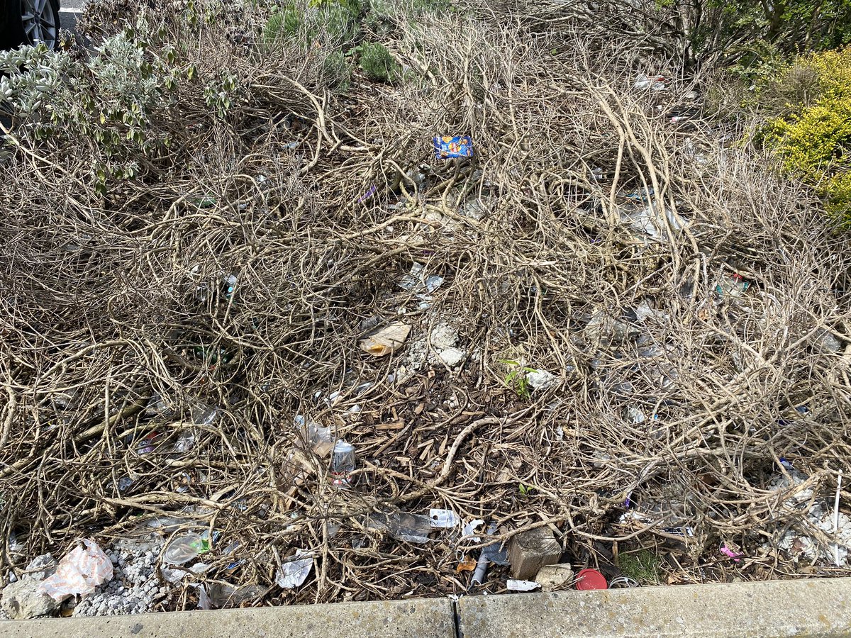 PeterJohnWhite's tweet photo. @LidlGB Very struck by the ‘green space’ at your Eltham branch https://t.co/TNRgmGeUSy
