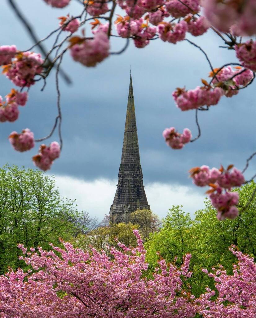 IgersYorkshire's tweet photo. FEATURE OF THE DAY 💫

‘Under the Blossom Trees, Harrogate’ by @alanwiseuk
Location: #Harrogate #NorthYorkshire
Selected by: Elaine @sunflowerof21 
____________________________________

TAG: #igersyorkshire

To be part of the IgersYorkshire community,… https://t.co/ziKoToRWxQ https://t.co/2X2WjkpXkb
