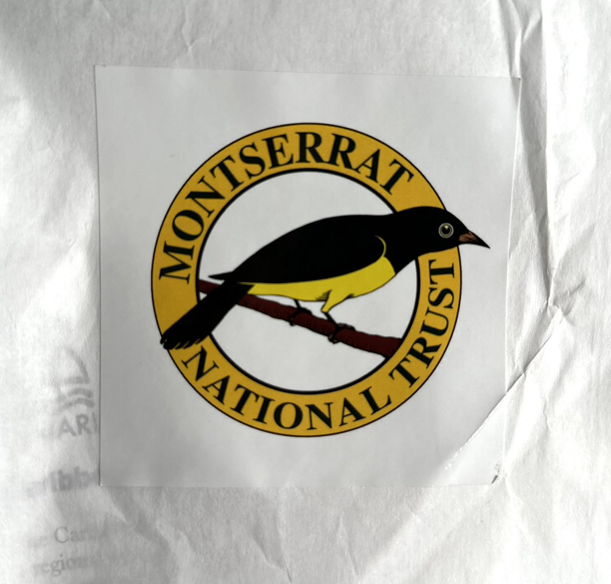 Tao Leigh Goffe, PhD | 道 🐲🌋 tweet media