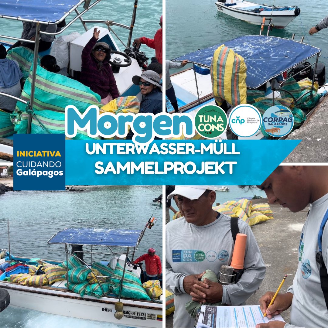 TUNACONSDEU's tweet photo. Das Team ist bereit, morgen beginnt die Sammlung von Unterwassermüll auf der Insel Isabela von Galapagos in Zusammenarbeit mit @pesqueria @png @armada_ecuador und #CORPAG, die 6 Teams bereit haben ➡️ 24 Besatzungsmitglieder insgesamt https://t.co/WJiIYlw3OZ