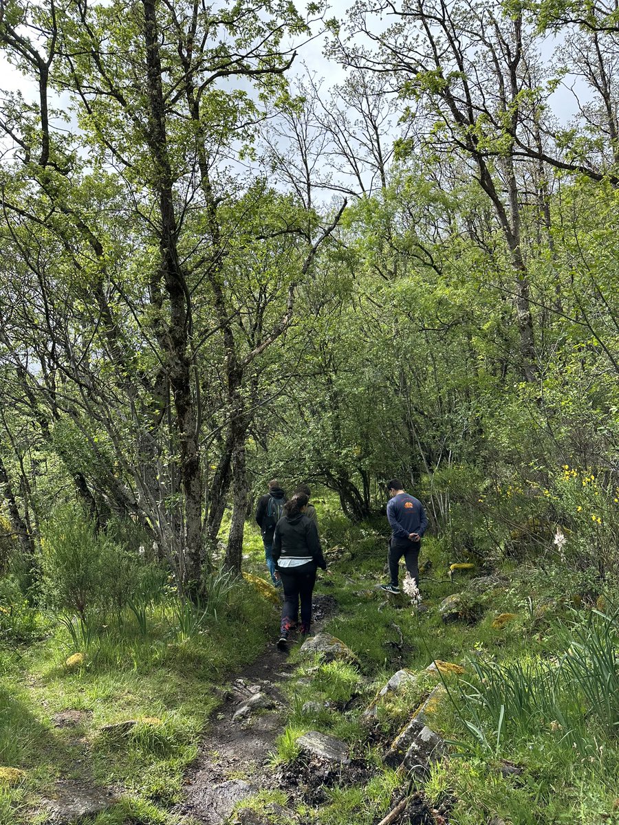 leti_ft's tweet photo. Sin duda alguna, considero que es un itinerario muy oportuno para fomentar y trabajar las Ciencas Sociales y Naturales con los niños y los no tan niños. Pero lo mejor es lo bien que nos lo pasamos y lo que nos reímos. 

#RecursosCCSS #Infantil2EUMZA #DCSUVA https://t.co/ObUmkahWOj
