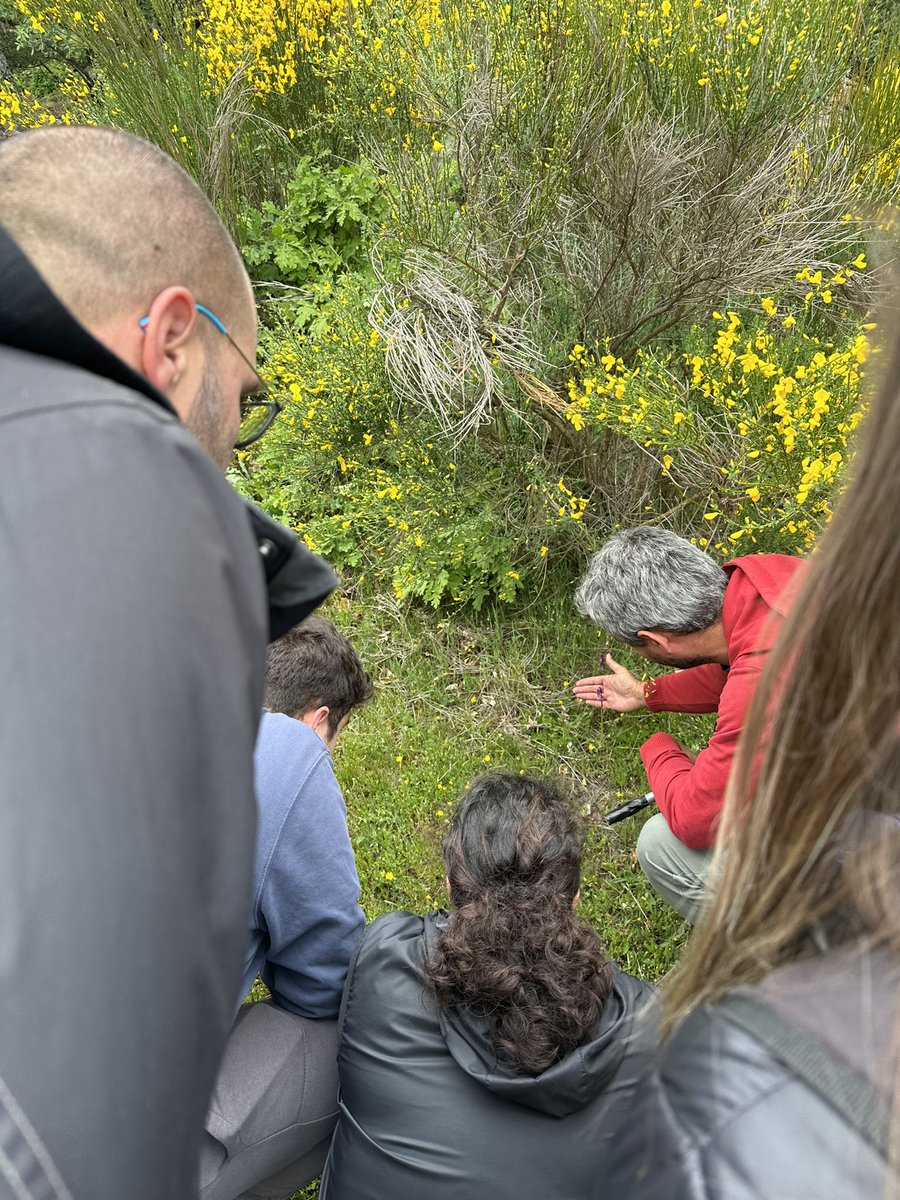 leti_ft's tweet photo. Sin duda alguna, considero que es un itinerario muy oportuno para fomentar y trabajar las Ciencas Sociales y Naturales con los niños y los no tan niños. Pero lo mejor es lo bien que nos lo pasamos y lo que nos reímos. 

#RecursosCCSS #Infantil2EUMZA #DCSUVA https://t.co/ObUmkahWOj