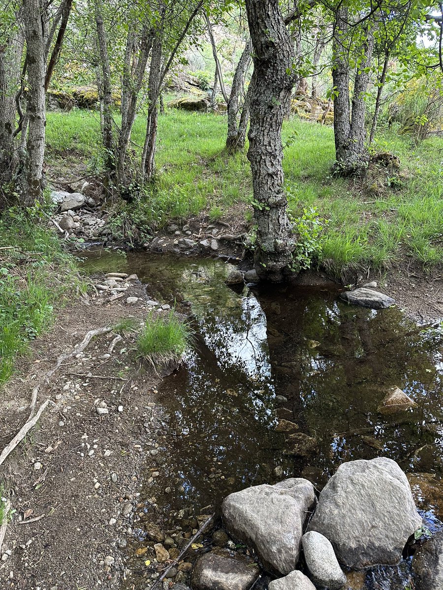 leti_ft's tweet photo. También hemos aprendido más sobre la historia de Ribadelago y la formación del Lago de Sanabria; así como el curso del mismo. 

#RecursosCCSS #Infantil2EUMZA #DCSUVA https://t.co/JVHnbcd51J