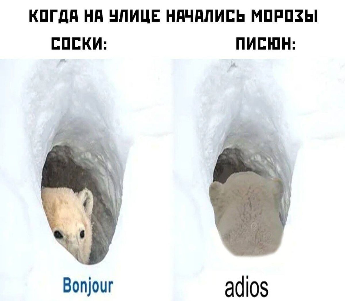 ONEXXIII's tweet photo. Сукааа https://t.co/BurflJXuw7