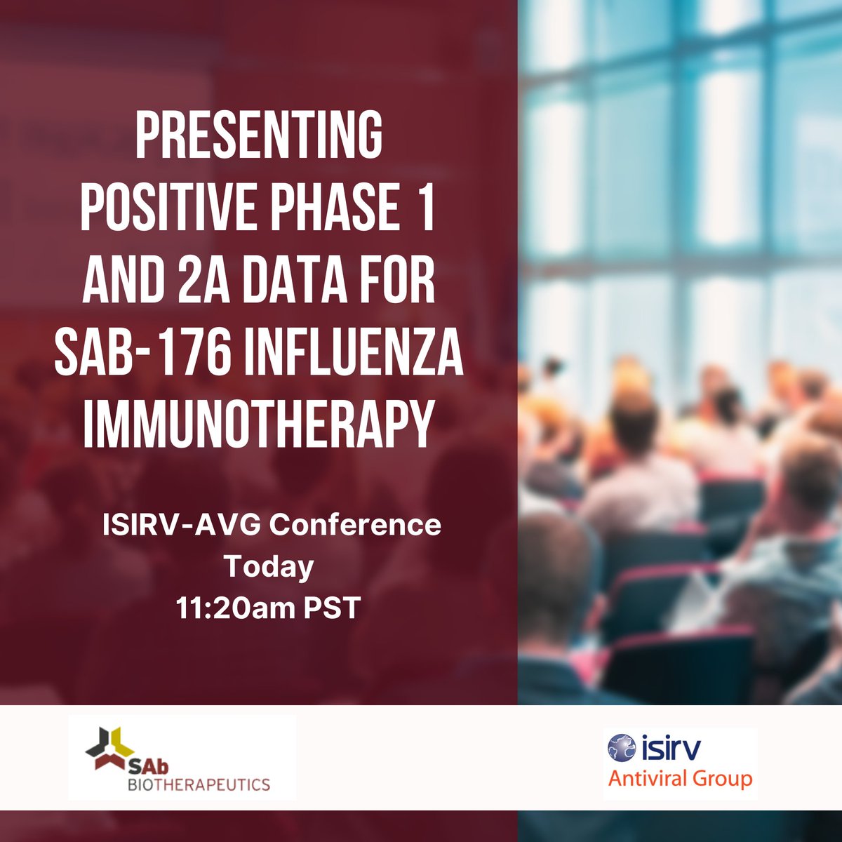 SABBantibody's tweet photo. Today at the ISIRV-AVG conference, SAB’s Sr. Vice President of Research, Thomas Luke, MD, will present positive safety and efficacy #data from Phase 1 and 2a clinical trials of SAB-176, our fully-human, broadly neutralizing #influenza immunotherapy. More: https://t.co/EDF7HDxdN2 https://t.co/BhaEGYNxhE