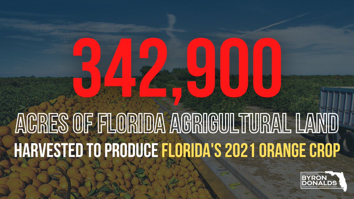 Congressman Byron Donalds tweet media