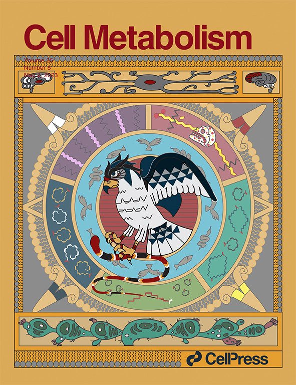 Gerardo Gamba (@gerardo_gamba) on Twitter photo La portada de Cell Metabolism de mayo fue diseñada por mi ex alumna Silvana Bazúa-Valenti, que desde hace 4 años está en el posdoc en el Broad Institute MIT/Harvard. Vean las células en forma de nopal (chido!). Silvana Rules! Explicación en el hilo. <a href="/incmnszmx/">INCMNSZ</a> <a href="/biomedicasunam/">Instituto de Investigaciones Biomédicas IIBO, UNAM</a> La portada de Cell Metabolism de mayo fue diseñada por mi ex alumna Silvana Bazúa-Valenti, que desde hace 4 años está en el posdoc en el Broad Institute MIT/Harvard. Vean las células en forma de nopal (chido!). Silvana Rules! Explicación en el hilo. <a href="/incmnszmx/">INCMNSZ</a> <a href="/biomedicasunam/">Instituto de Investigaciones Biomédicas IIBO, UNAM</a>