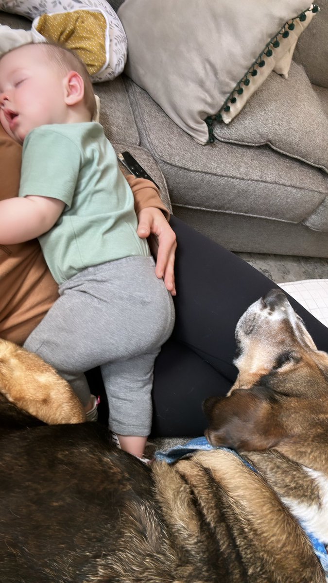 JillKad's tweet photo. No better view ❤️🥹 https://t.co/3kPgjqAdLi