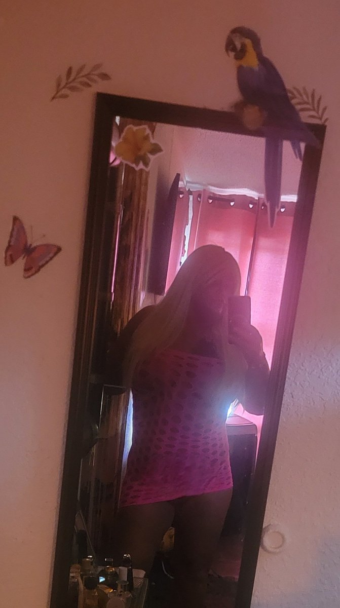 #SARAHSTARR tweet media