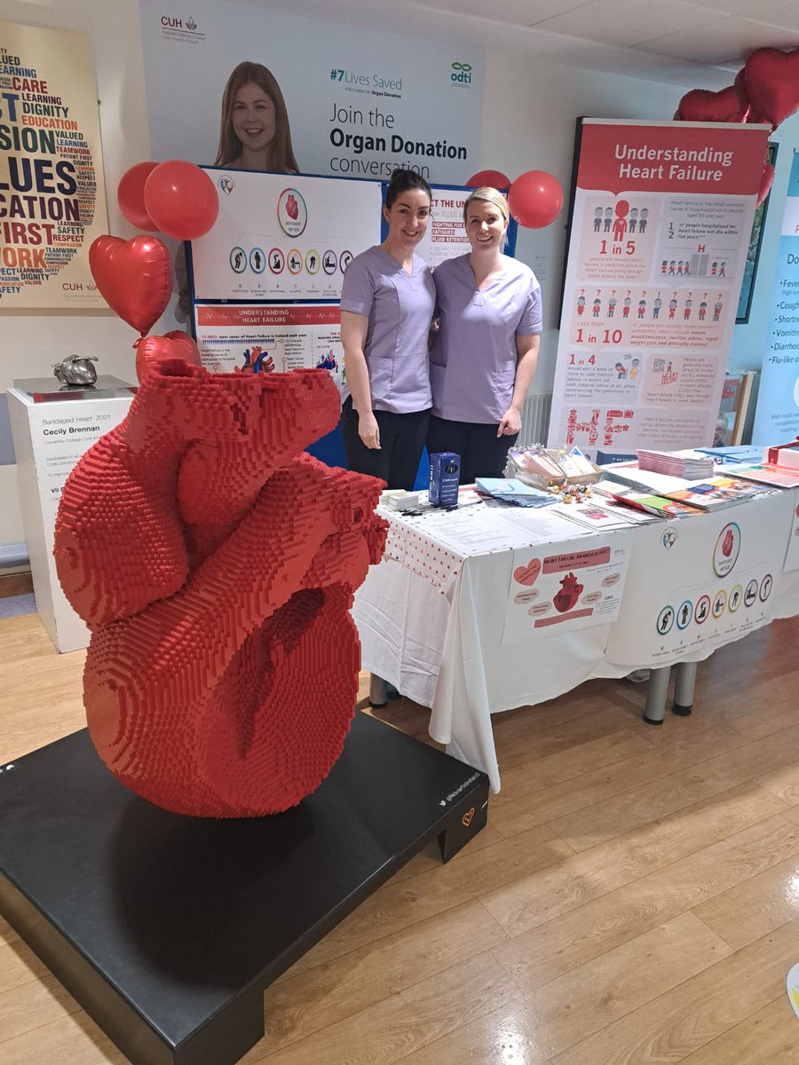 caitrionakenne4's tweet photo. More pictures from our successful heart failure day in CUH. 
#DetecttheUndetected 
#BumpUpThePump
#25in25 https://t.co/ysRGScak62