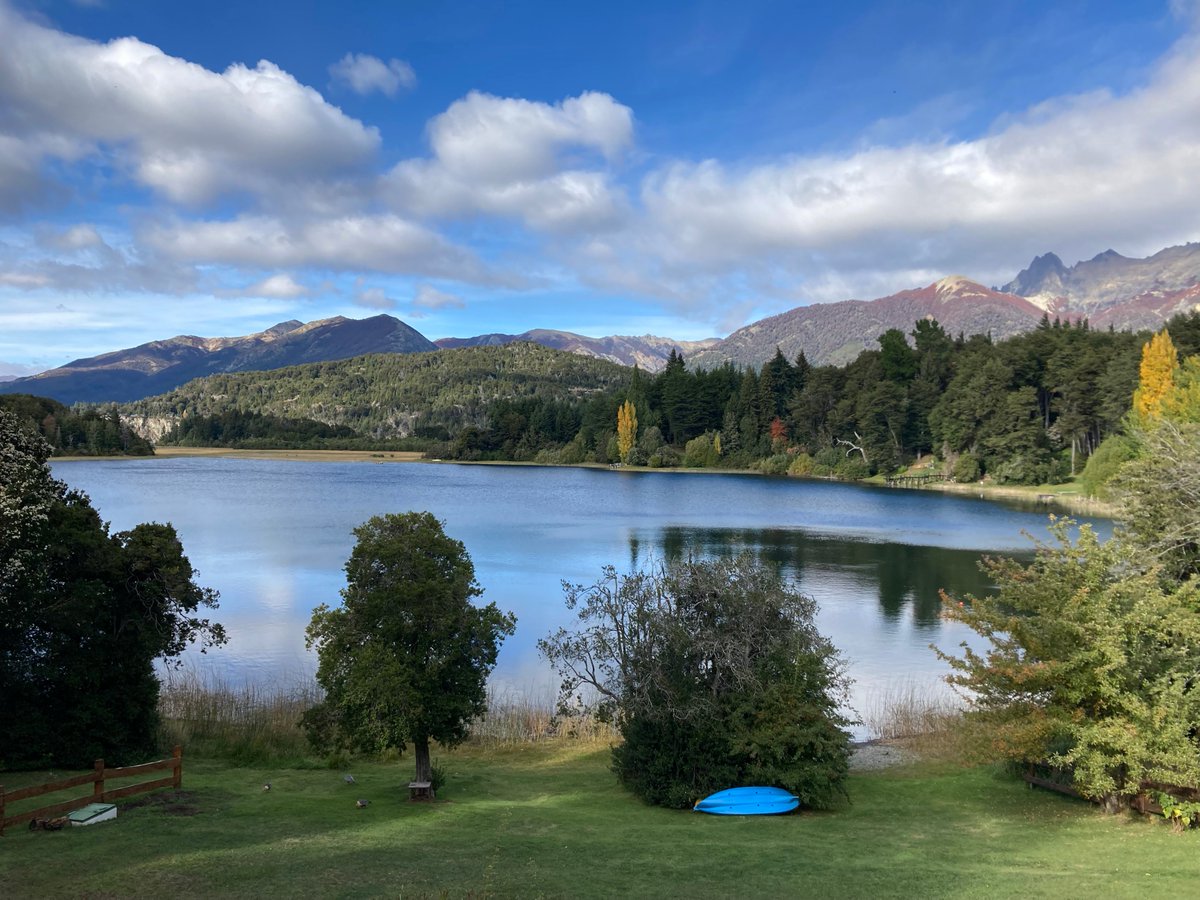 jomsosa's tweet photo. 4/5 A pesar de una gran batería de pruebas en #javascript, el contrato de #stAUR 🪐 recibió múltiples peer-reviews de desarrolladores #Solidity 🏔️. Incluyendo devs de @auroraisnear.
El contrato se encuentra bajo un par de procesos de auditoría:
https://t.co/Z8ty76bgrn https://t.co/YHjZGb5gZo