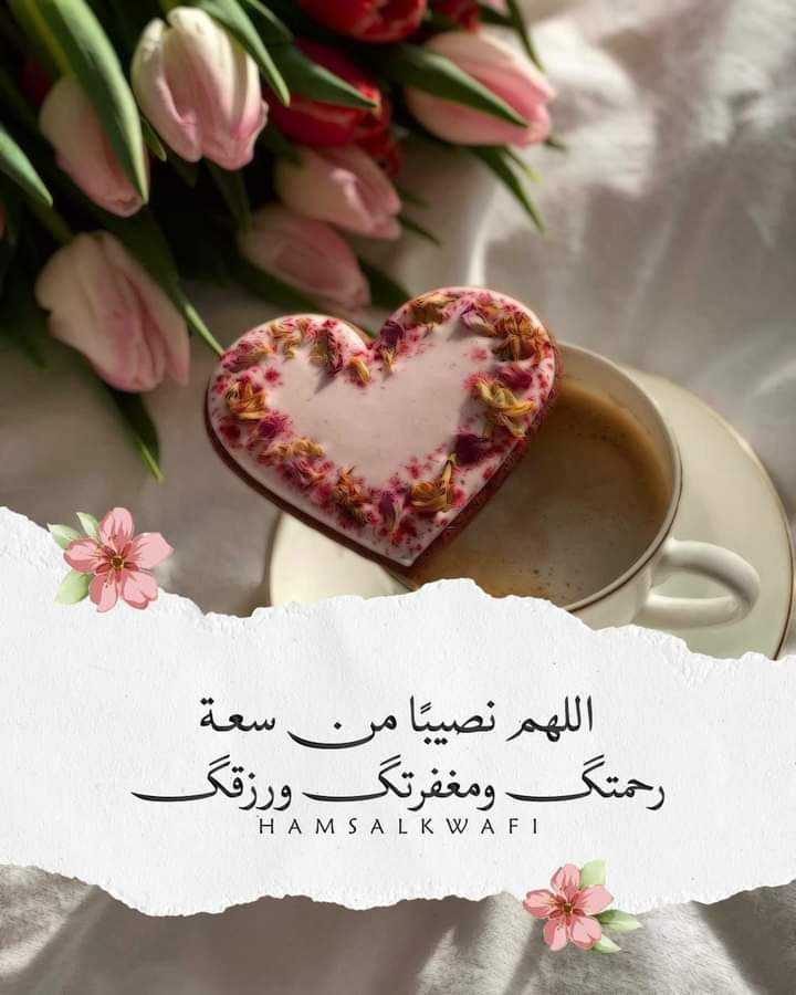 Essam Fouad tweet media