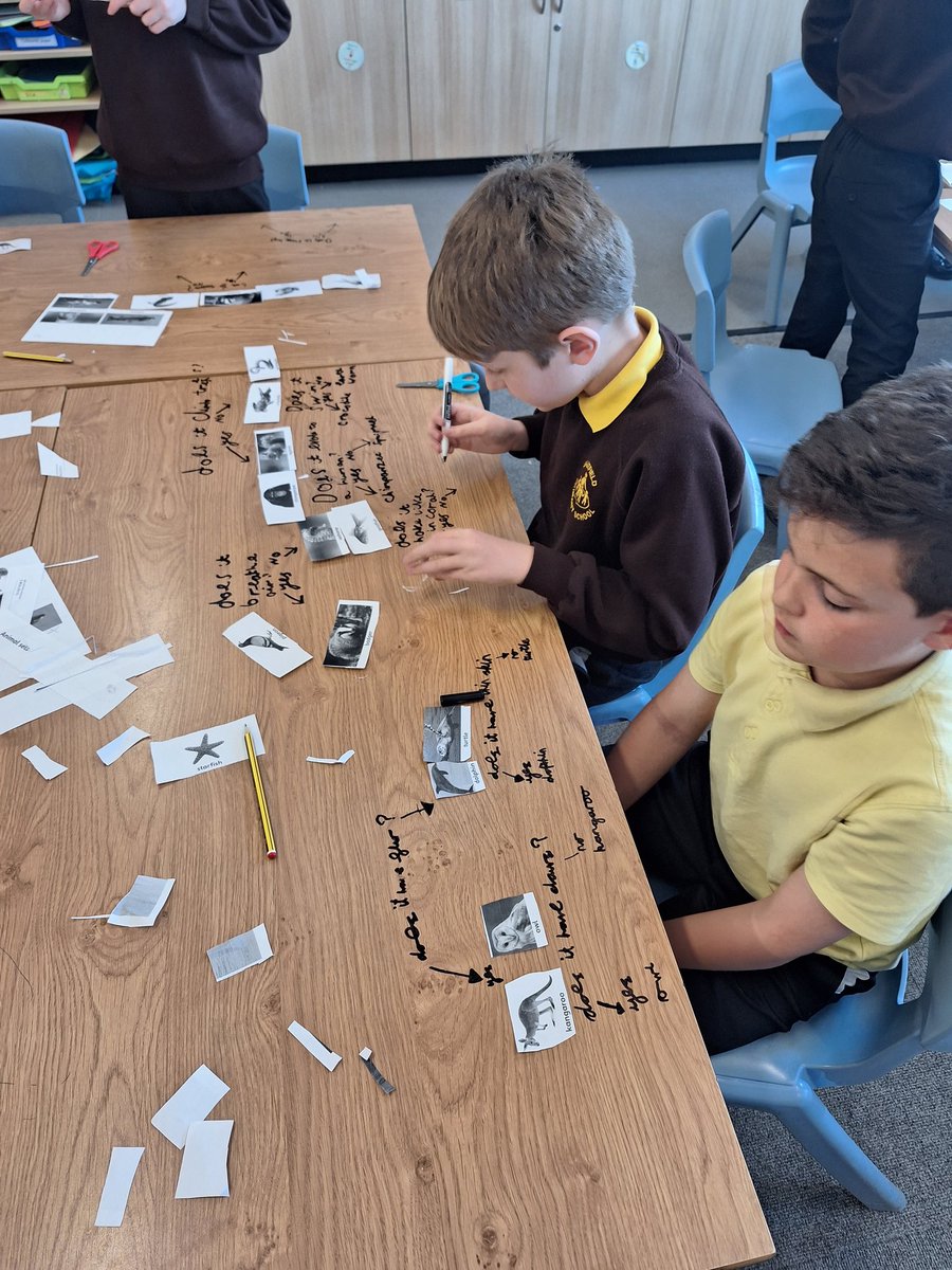 EastfieldPSHull's tweet photo. #4KC enjoyed creating classification keys in our Science lesson yesterday! We asked relevant questions about animals and their characteristics in order to group them. #epsscience https://t.co/UJB65XkFx9
