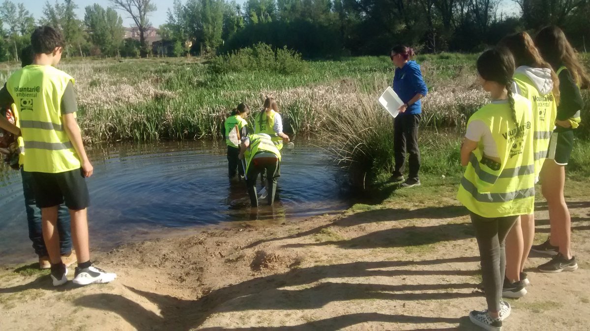 IesPintor's tweet photo. Alumn@s de 3º ESO del @IesPintor en la playa de Fuentes Blancas, realizando actividades de recogida de residuos y analizando la calidad del agua en base a la presencia de larvas de insectos. Gracias @fundacionO2 https://t.co/lNtnh8tnld
