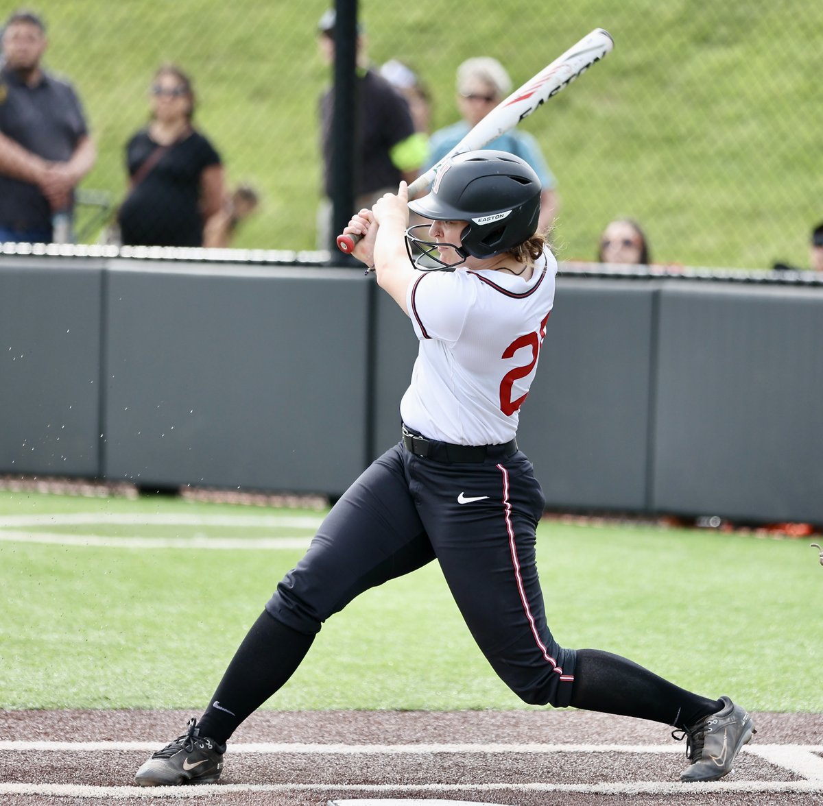 Harvard Softball tweet media