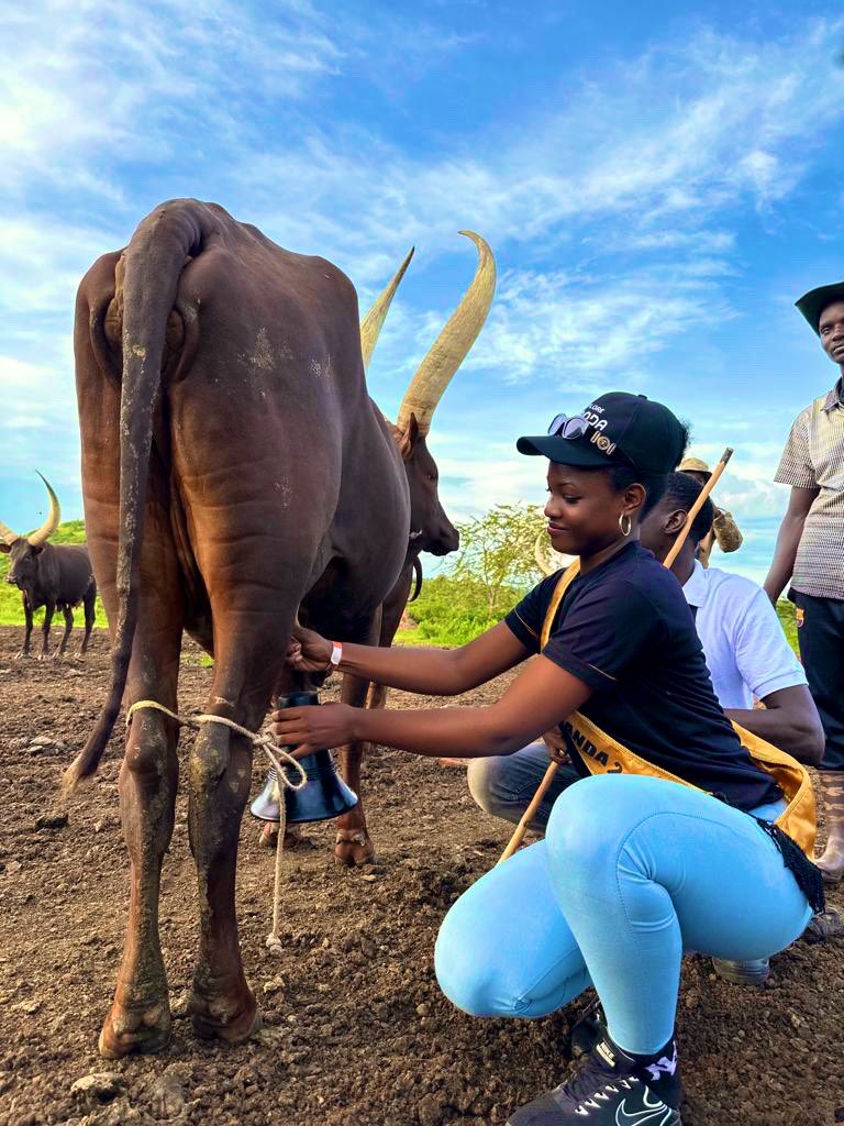 #Uganda's culture is a marvel ❤️ Untamed. Unique. Beautiful. Come let's discover together🇺🇬 #ExploreUganda #PearlofAfrica #ankolecattle #culture #africanculture #untamedUganda #UniquelyOurs #ugandasafari 📸 @MISSTOURISM2022