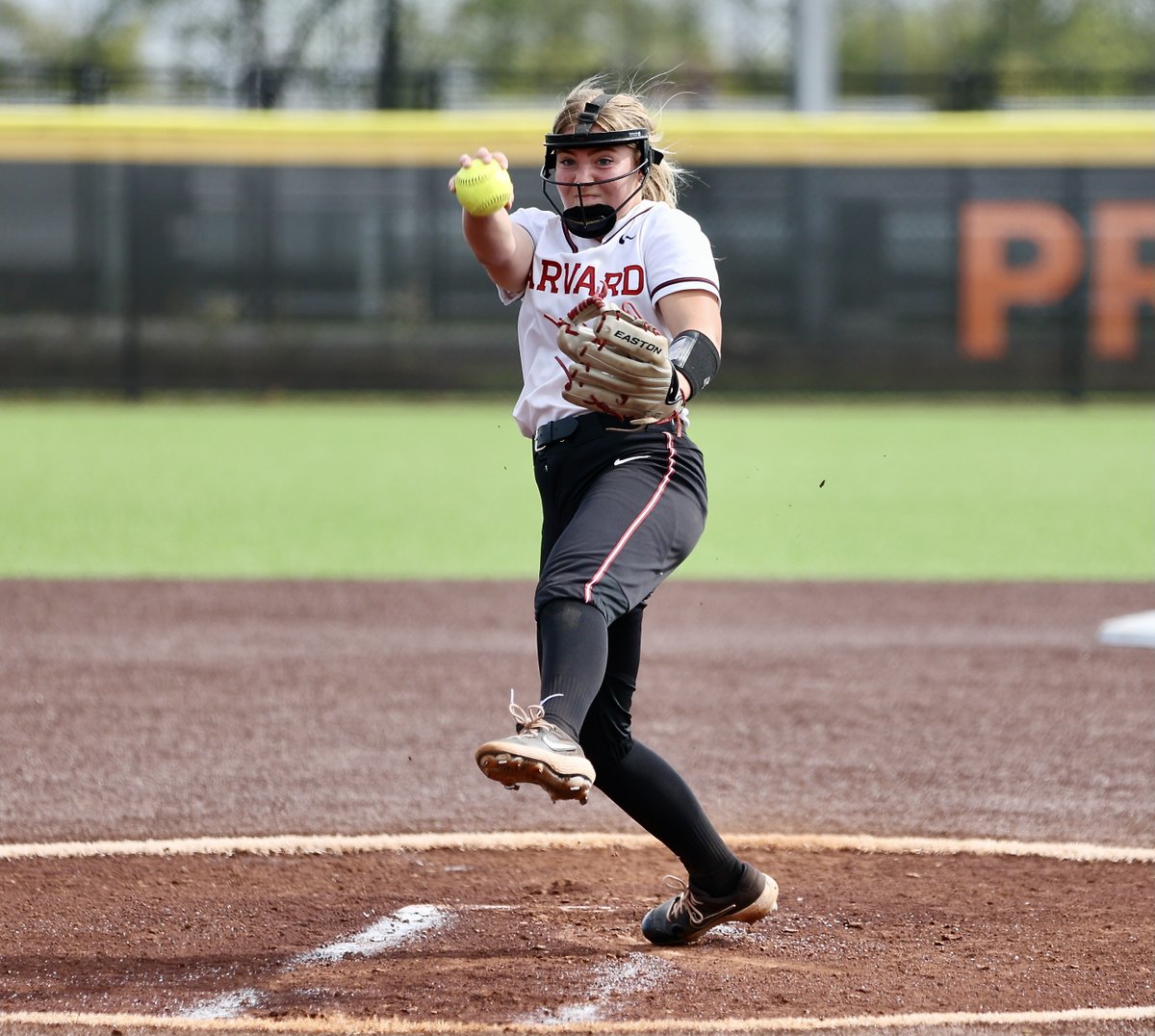 Harvard Softball tweet media