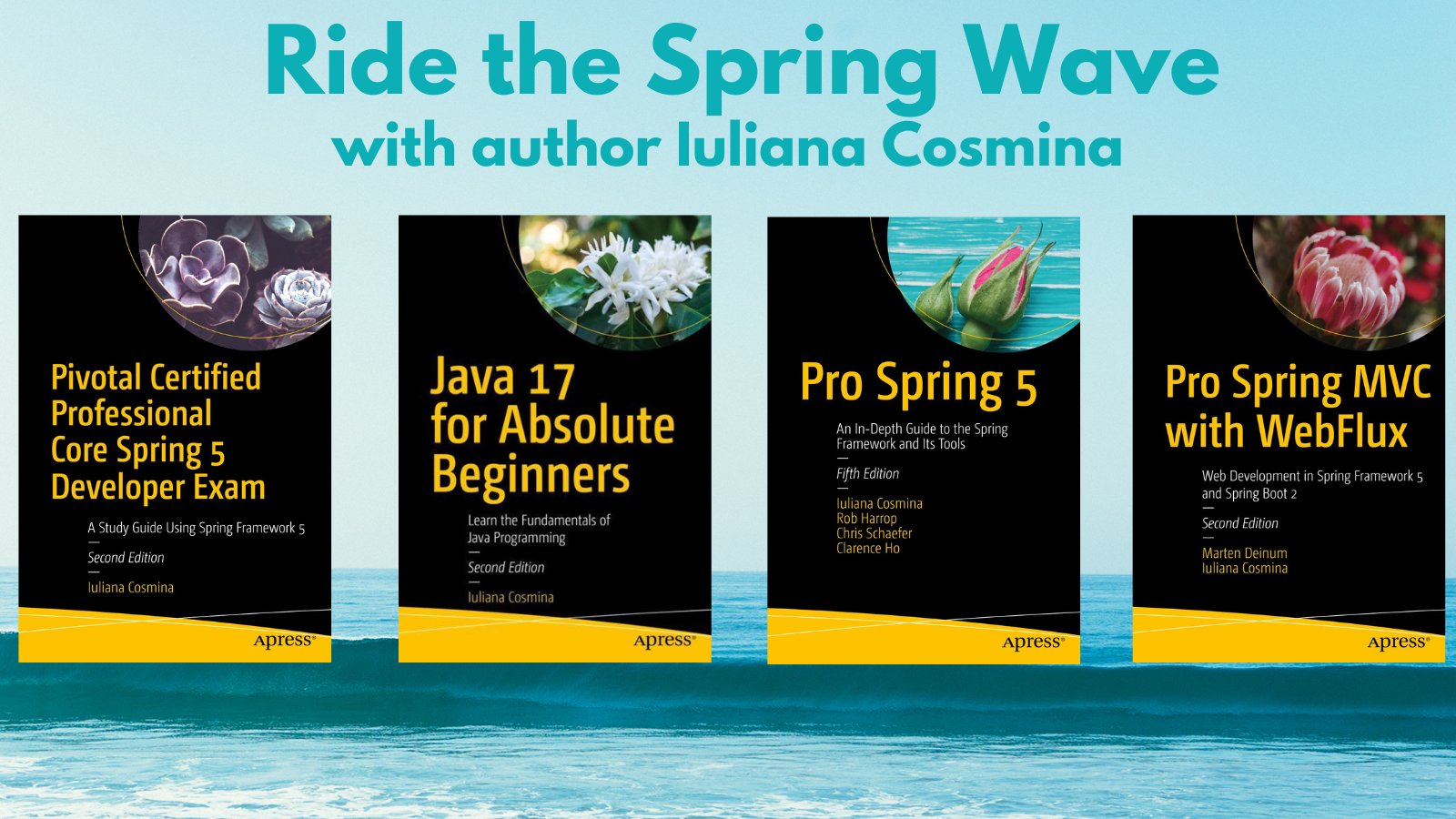 Spring hotsell framework author