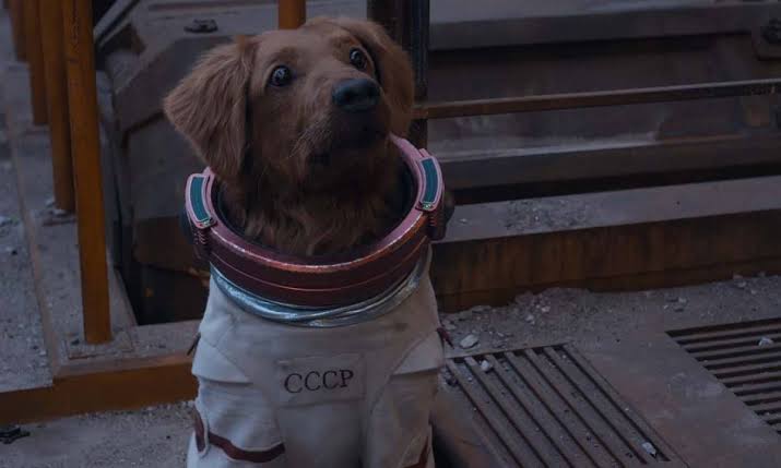 DogNoty's tweet photo. Por último los personajes secundarios como Kraglin, #Cosmo, #Stakar (interpretado por Stallone), entre otros, estuvieron bien, nada fuera de lo común, además de cameos especiales de actores amigos de James Gunn, como Nathan Fillion y Daniela Melchior. Y un cameo por ahí de Yondu. https://t.co/ySb3jcNEuc