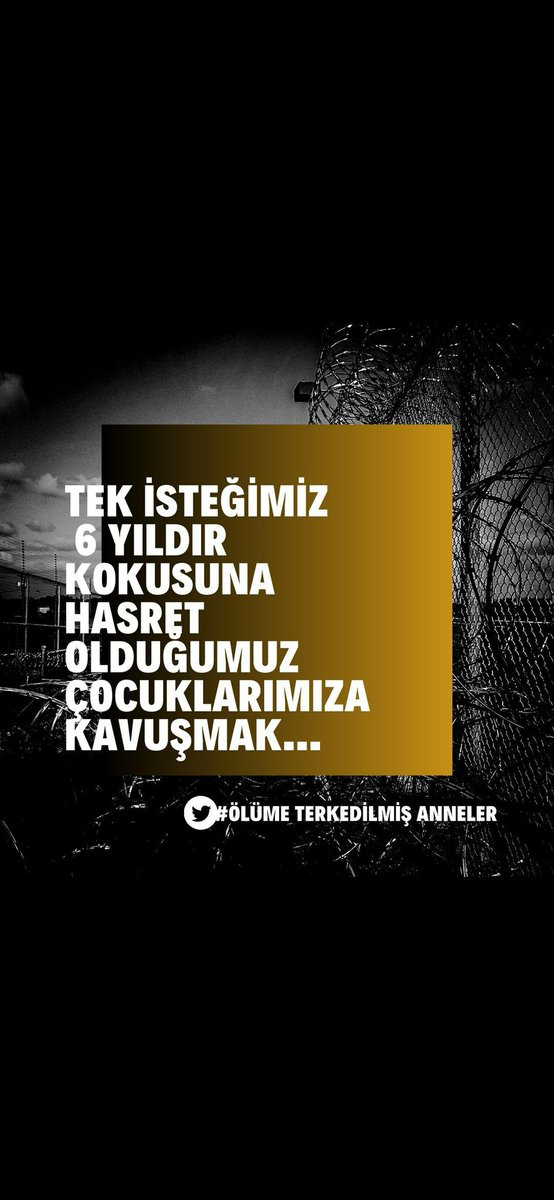 Ankebut792's tweet photo. Ölüme Terkedilmiş Anneler https://t.co/eAnHD3z6ka