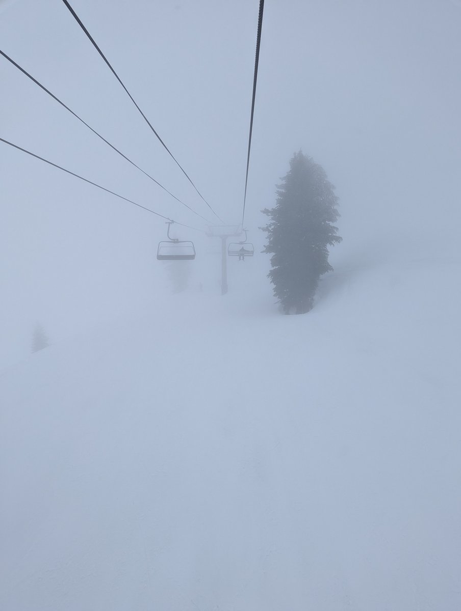 mattl33's tweet photo. Premo conditions for May. Life is good. #beerfax https://t.co/VyyjLruSI1