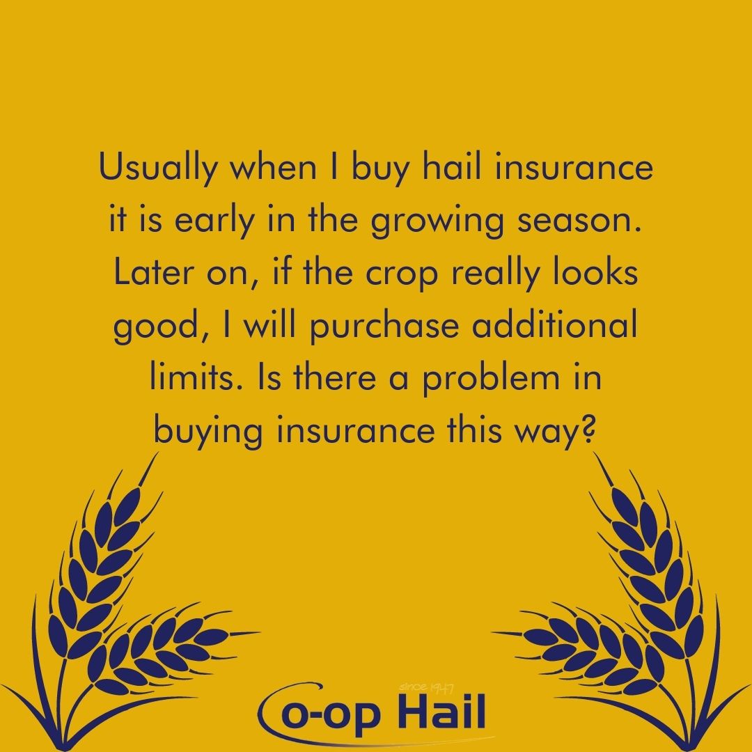 coophail's tweet photo. This is quite acceptable. The only requirement is that on your application you must declare the limits of all hail insurance carried with any other insurance company. Learn more at https://t.co/G8Ctig2utY https://t.co/iqKKv8DTWh