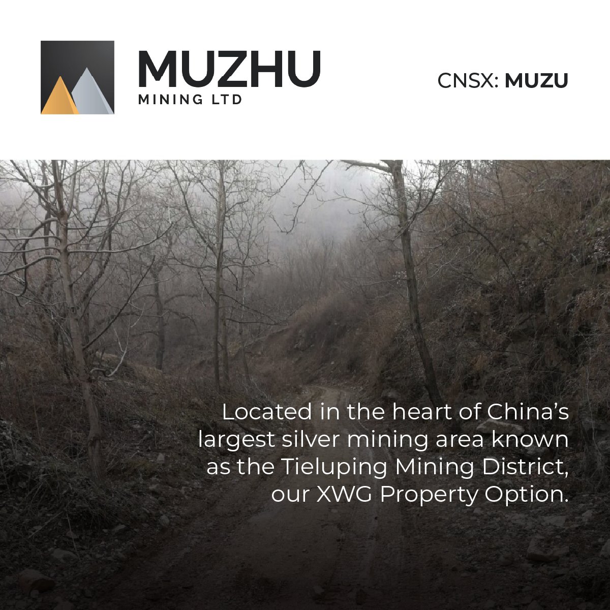 MiningMuzhu's tweet photo. Looking for the next big thing in #mining exploration? Look no further than $MUZU's XWG Property option! 

Located in the heart of China’s largest silver mining area known as the Tieluping Mining District, this project has the potential to yield significant #gold and #silver deposits. 

Learn more about our exciting new venture here: https://t.co/e5PeoWdG2n