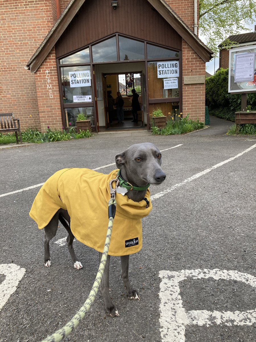 #dogsatpollingstations #LocalElection2023 been and voted