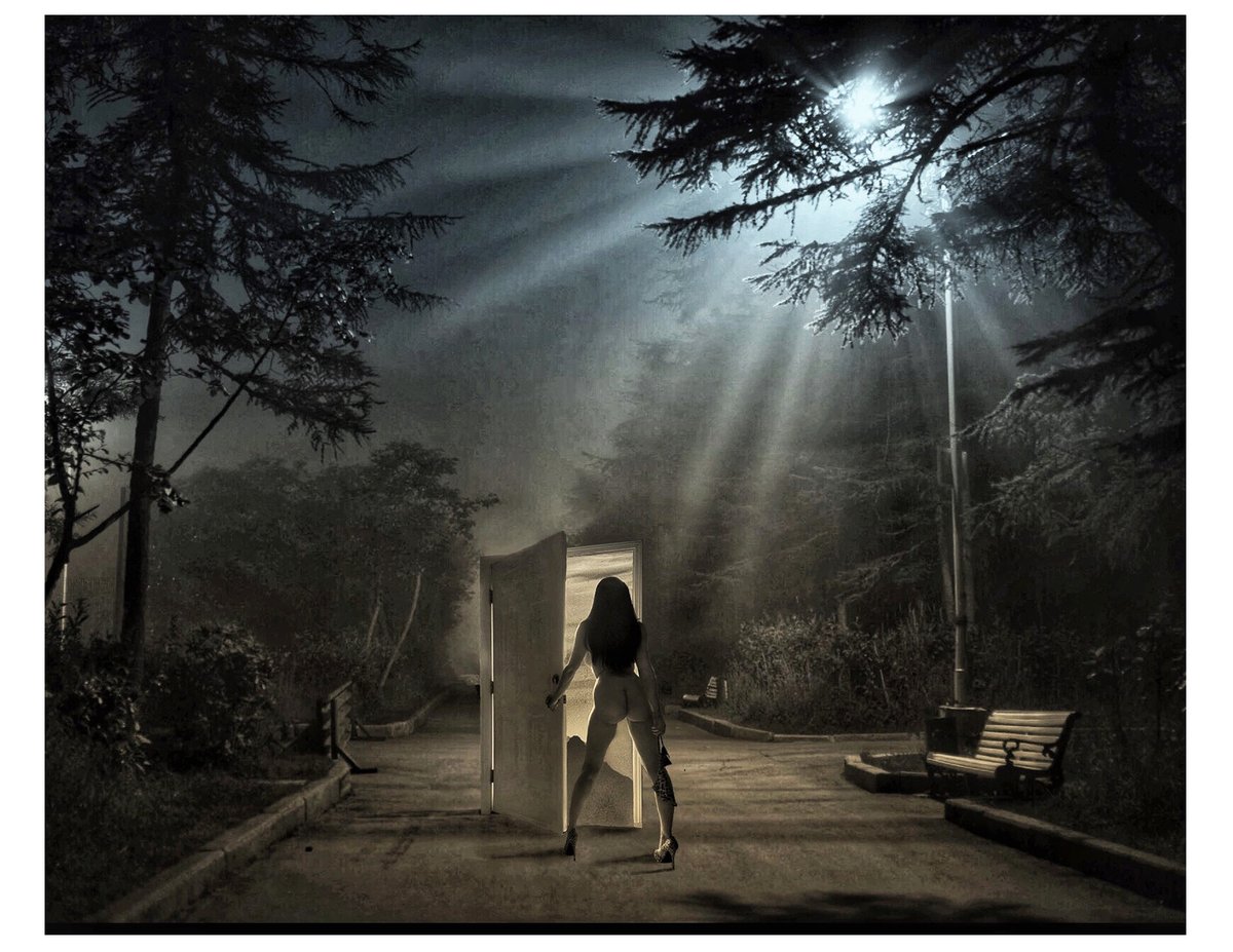 Whoadamnit tweet media