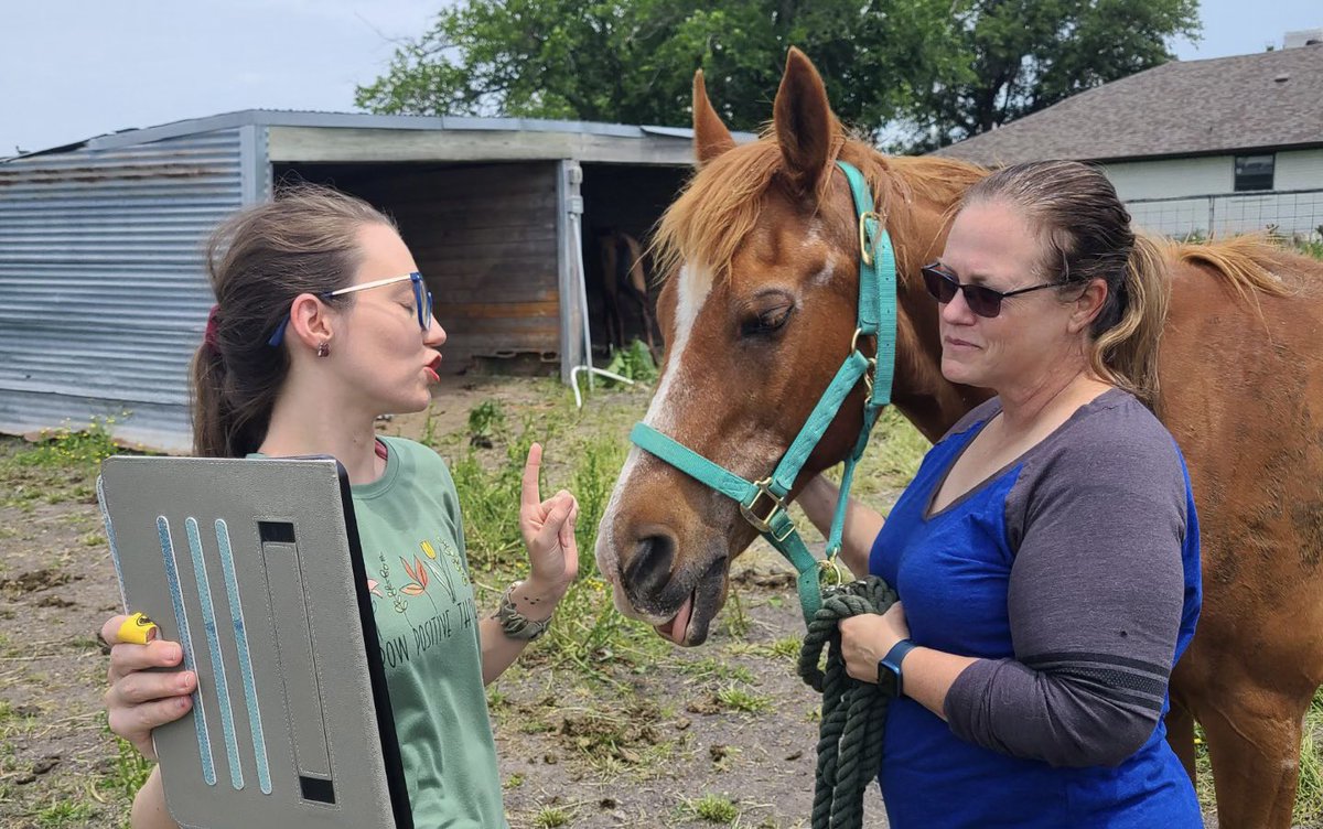 MrsMasons_Class's tweet photo. I’m not at school today, but that didn’t stop the #VirtualFieldTrip I had planned with my students! Today, we spoke to a 🐴 horse expert 🐴 — my mom. We learned about what horses eat, how to ride horses, and how tall they are! 

#BuildingtheBestSPS @SPS_SpecialEd @HillpointHusky https://t.co/rHmpsJ2VHG