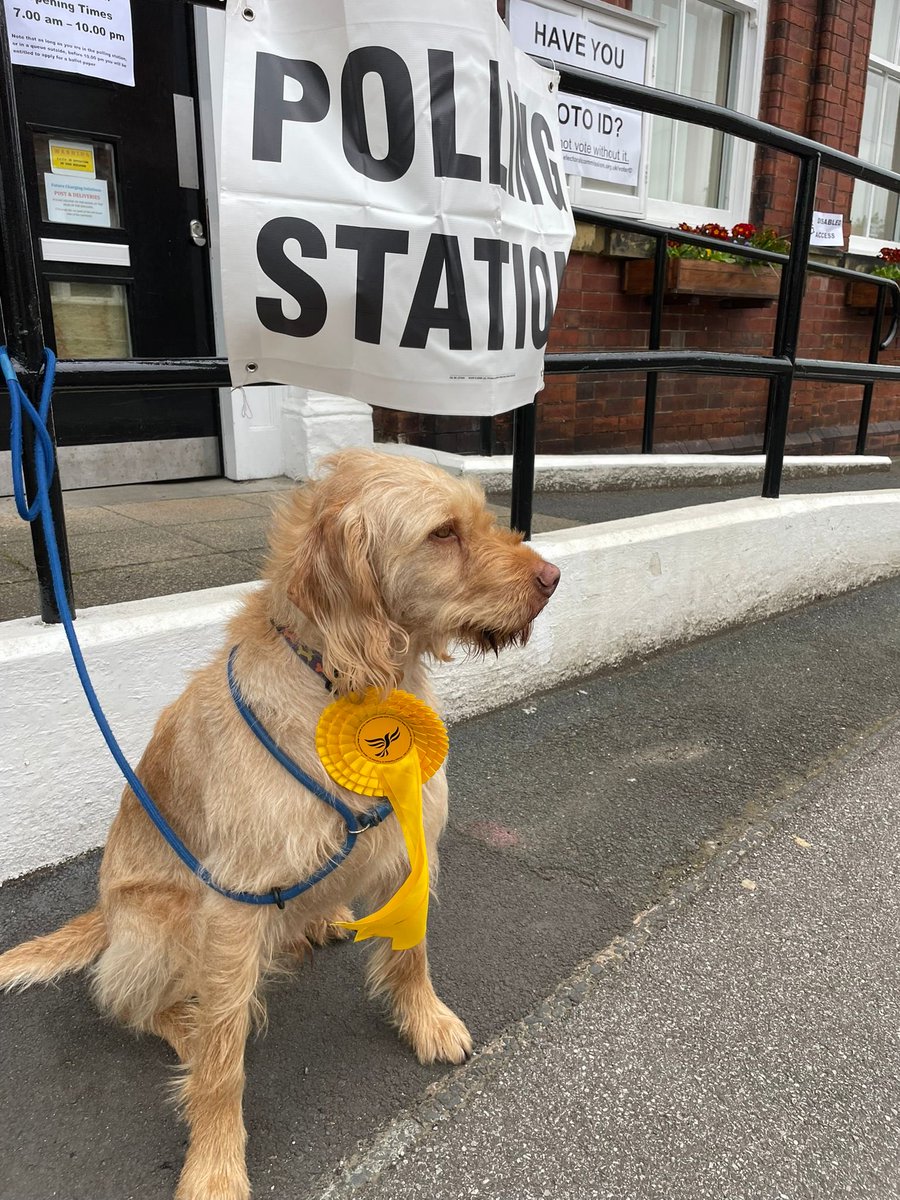 Stewart Golton 🔶 tweet media