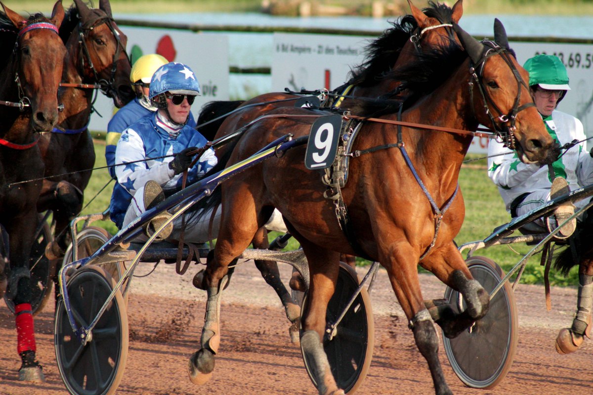 🏆8ème course : Prix Roquepine
🥇n°9 Ketty du Ril - Théo Duvaldestin - 1'18"30
🥈n°8 Kambria Josselyn - Romain Congard - 1'18"30
🥉n°6 Kouvola - Cyril Raimbaud - 1'18"30