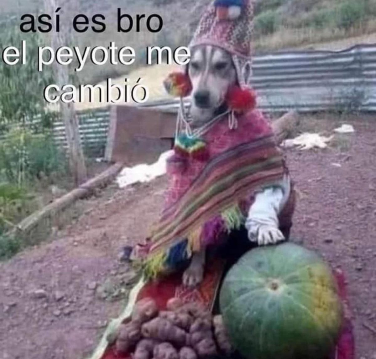 ElCompaHache's tweet photo. @EsDeMamador Nada más ando viendo, gracias https://t.co/hE5TnuPVK1