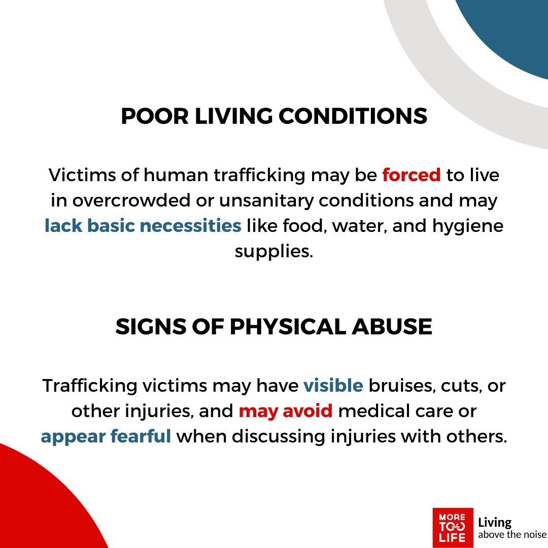 @realmoretoolife tweet media