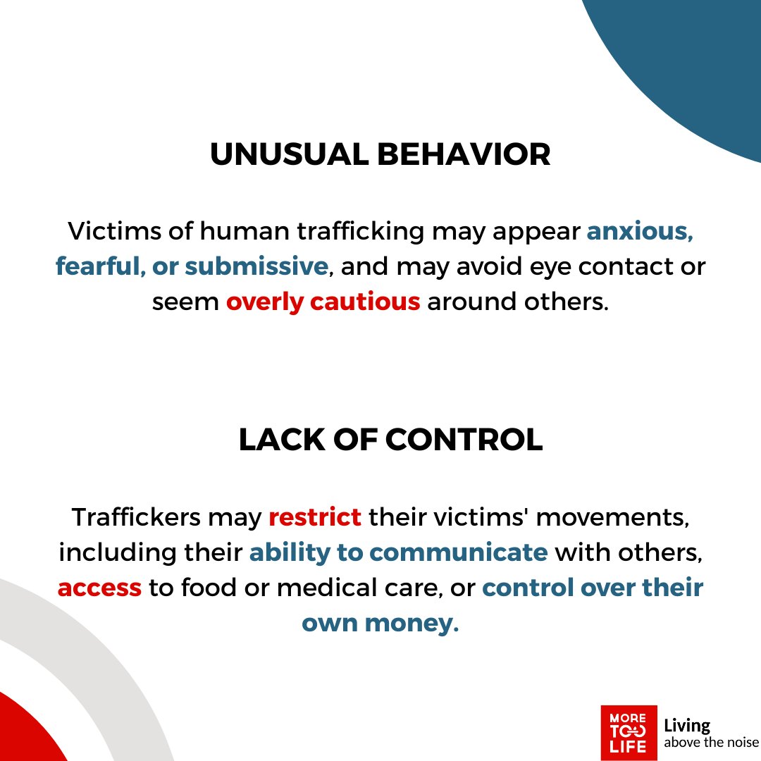 @realmoretoolife tweet media