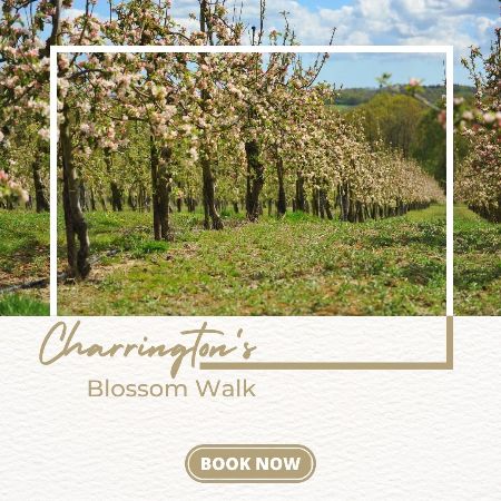 Our Final Blossom Farm Walk is tomorrow, Friday 5th May <a href="/4/">w</a>:15 - Book now. - mailchi.mp/charringtonsdr…